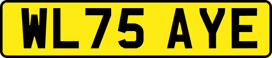 WL75AYE