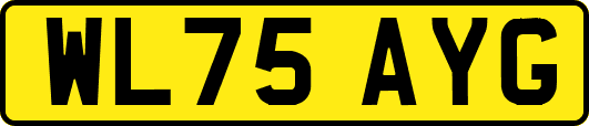 WL75AYG