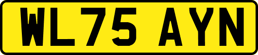 WL75AYN