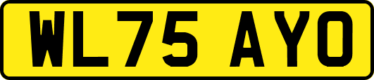 WL75AYO