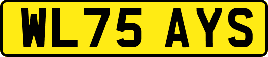 WL75AYS