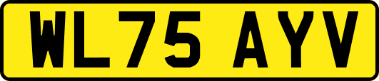 WL75AYV