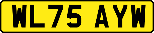 WL75AYW
