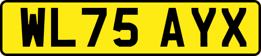 WL75AYX