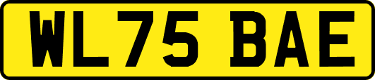 WL75BAE