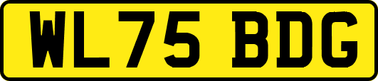 WL75BDG