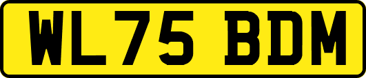 WL75BDM