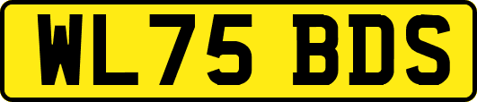 WL75BDS
