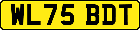 WL75BDT