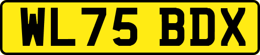 WL75BDX