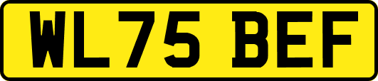 WL75BEF