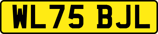 WL75BJL