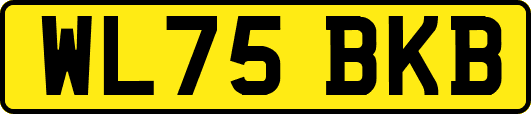 WL75BKB