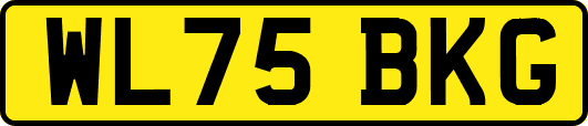 WL75BKG