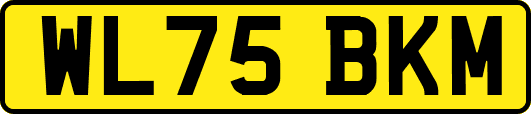 WL75BKM