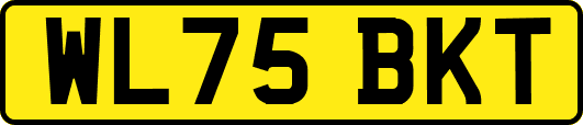 WL75BKT