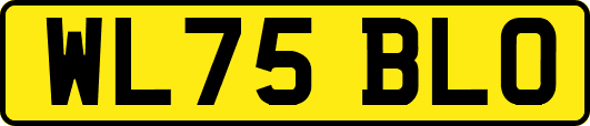WL75BLO