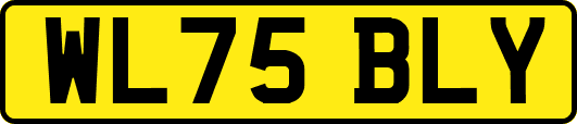 WL75BLY