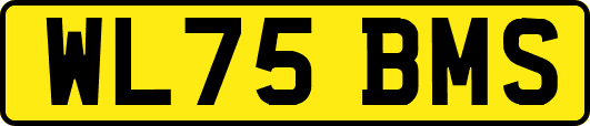 WL75BMS