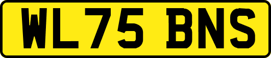 WL75BNS