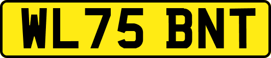 WL75BNT