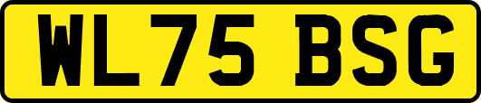 WL75BSG