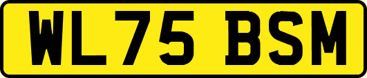 WL75BSM
