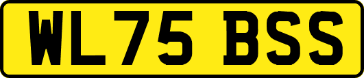 WL75BSS