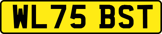 WL75BST