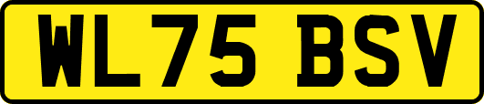 WL75BSV