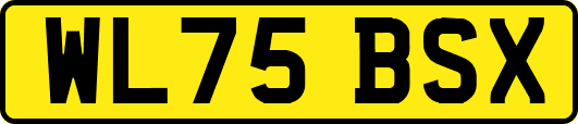 WL75BSX