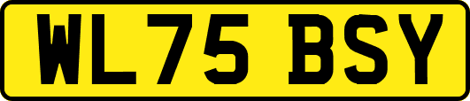 WL75BSY