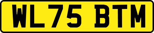 WL75BTM