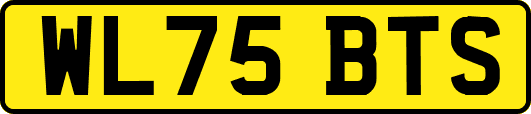 WL75BTS