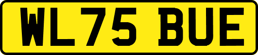 WL75BUE
