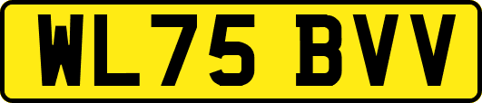 WL75BVV