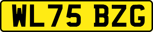 WL75BZG