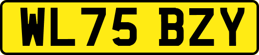 WL75BZY