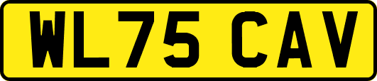 WL75CAV