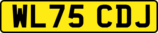 WL75CDJ