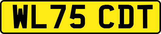 WL75CDT
