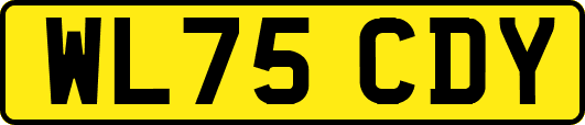 WL75CDY