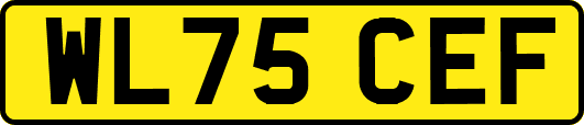 WL75CEF