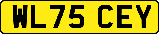 WL75CEY