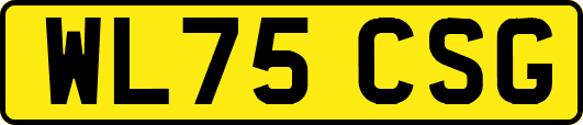 WL75CSG