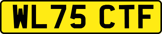WL75CTF