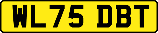 WL75DBT