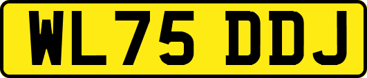 WL75DDJ