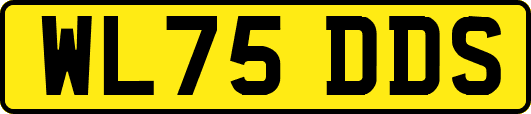 WL75DDS