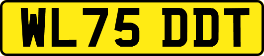 WL75DDT
